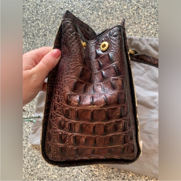 Brahmin Annabelle Rare Tri-texture Anaconda Satchel - Picture 4 of 11